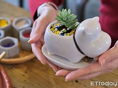 推荐观看精彩的牛牛游戏视频，尽享无限乐趣与刺激体验！