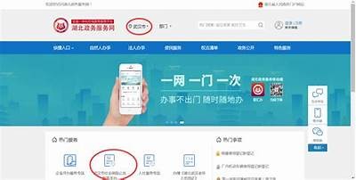 91新平台的最新访问方式及入口信息详解